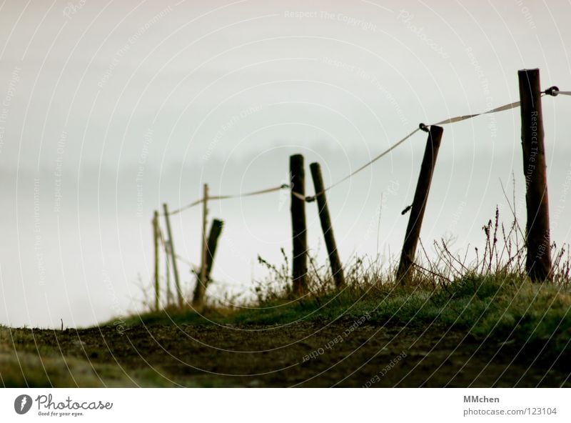 The way is the goal Go under Light Fog Fence Grass Pasture fence Border Downward Sea of fog Fog bank Dark White Morning fog Vista Dew Cold Gloomy Bad weather