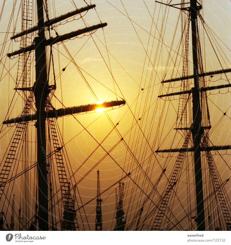 awning 2 Sailing ship Windjammer Low Sunset Rigging Bad weather Crane Wanderlust Expectation Exterior shot Back-light Beautiful Ocean Navigation