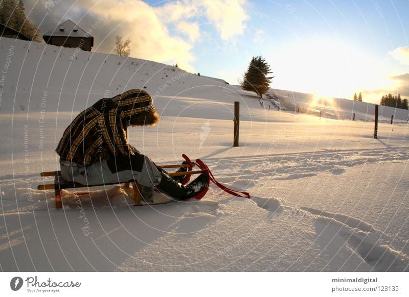 Over and out Sleigh Sledding Winter Cold Back-light Grief Clouds White Frozen Tree Snow Sun Sky Blue Ice Hut Alps Sledge Deep snow Winter sun Hooded jacket