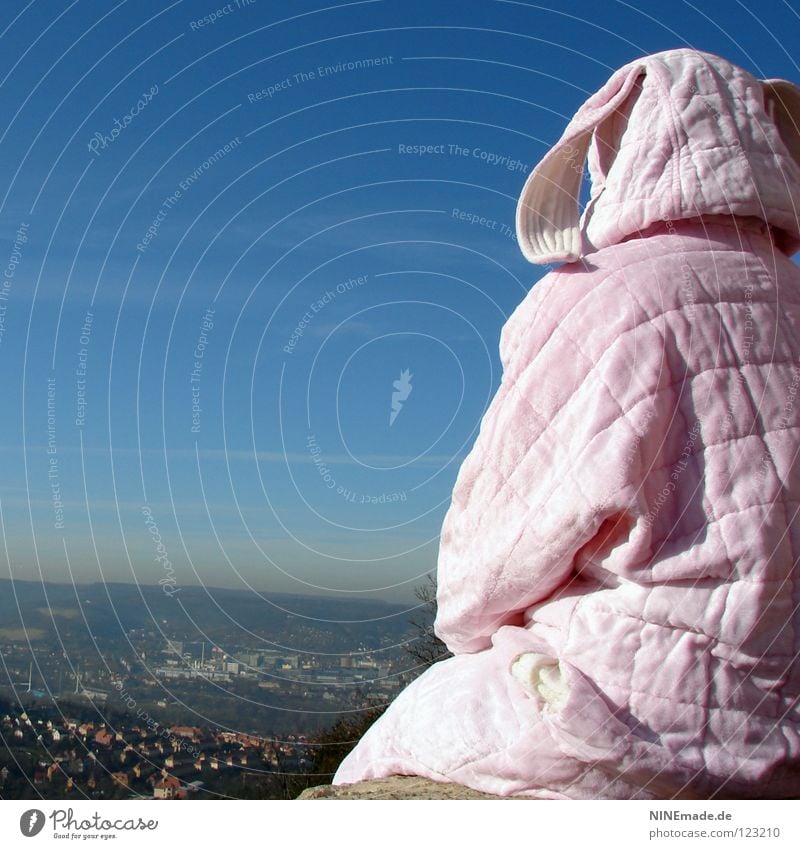 Hare mission | 2008 - outlook JENA Hare & Rabbit & Bunny Easter Pink White Wall (barrier) Tuft Cuddly Sky blue Vantage point To enjoy Beautiful Physics Think