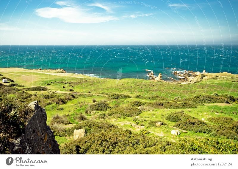 the green beach Environment Nature Landscape Plant Water Sky Clouds Horizon Summer Weather Beautiful weather Grass Bushes Foliage plant Meadow Rock Waves Coast