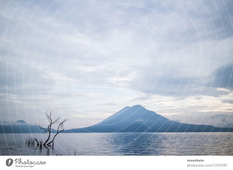 Lake Atitlan - Guatemala Environment Nature Landscape Elements Water Sky Clouds Horizon Summer Tree Volcano Coast Lakeside Blue Vacation & Travel Atitlan Lake