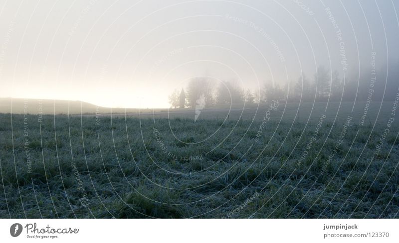 gloomy sunday Fog Meadow Gray Winter Autumn Cold Hoar frost Panorama (View) Eerie Dark Clouds Infinity Loneliness Grief Silhouette Pallid Blue Far-off places