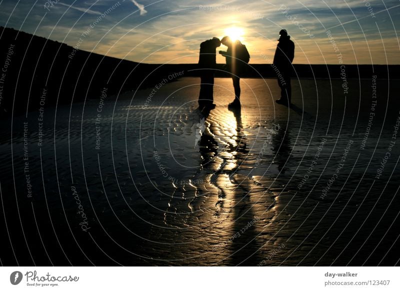 End of Day Ocean Beach Waves Reflection Moody Twilight Sunset Clouds Group Coast Earth Sand Tracks Beach dune Human being Silhouette Shadow Contrast Water Sky