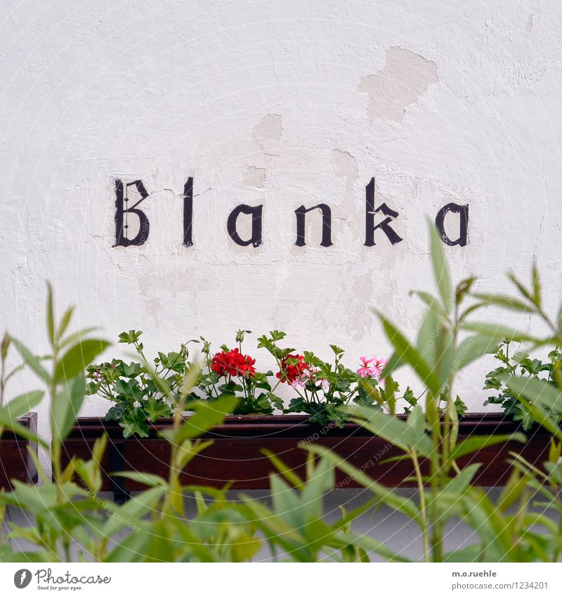 blanca Village Deserted House (Residential Structure) Facade White Authentic Colour photo Subdued colour Exterior shot Copy Space left Copy Space right