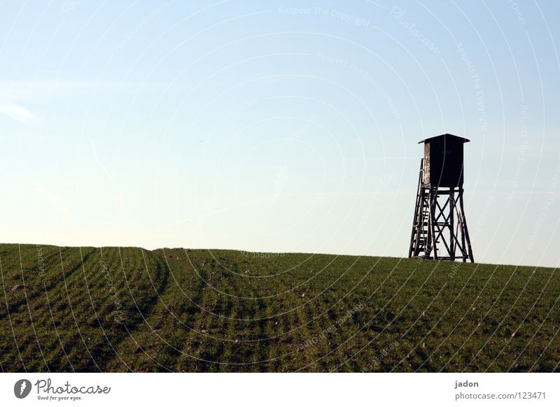 general Vantage point Hunting Blind Meadow Field Clouds Hunter Loneliness White Horizon Calm Background picture Brandenburg Flat (apartment) Room Minimal Might