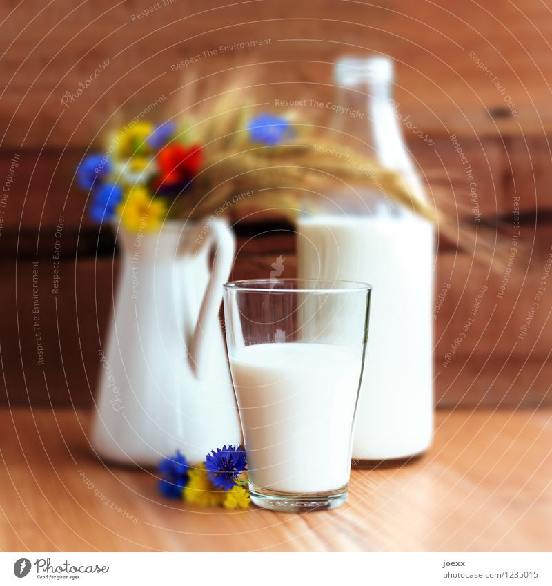 farm milk Milk Lifestyle Summer Flower Fresh Brown Multicoloured White Idyll Nature Frosted glass Milk churn country flowers Colour photo Interior shot Deserted