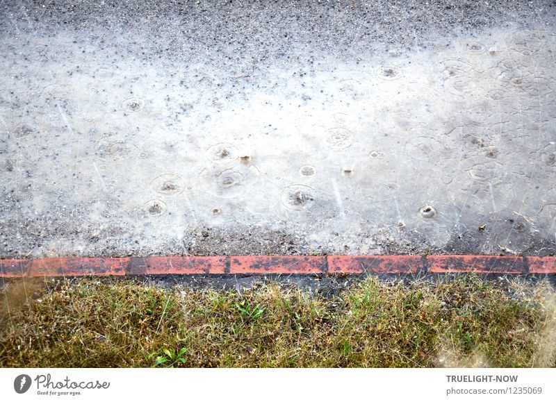 rain Environment Nature Elements Earth Sand Water Drops of water Summer Weather Bad weather Rain Grass Garden Lanes & trails Brick Cold Wet Gloomy Under Many