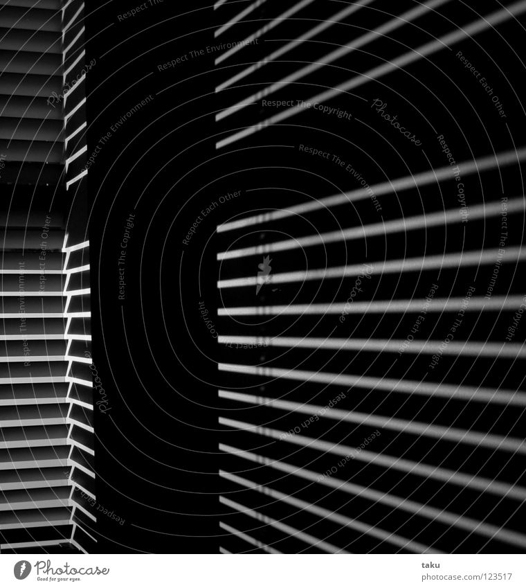 STRIPES II Light Room Wall (building) Stripe Black & white photo Sun Line Shadow Reflection living space funky Modern ...