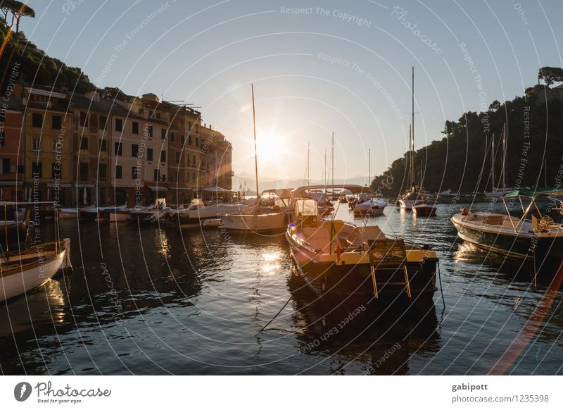 Portofino Vacation & Travel Landscape Water Cloudless sky Sunrise Sunset Sunlight Summer Hill Coast Bay Ocean Idyll Joie de vivre (Vitality) Ease Luxury Tourism