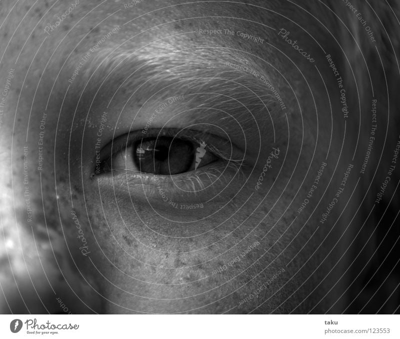 Ollie Portrait photograph Boy (child) Blonde Freckles Funny Life Alert Playing Beach Sandcastle Afternoon Excavator Child Black & white photo Face blue eyes