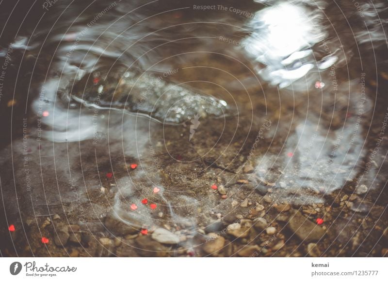 Flowing Hearts Environment Nature Elements Water Sunlight Summer Brook River Stone Sign Fresh Wet Brown Red Surface of water Float in the water Colour photo