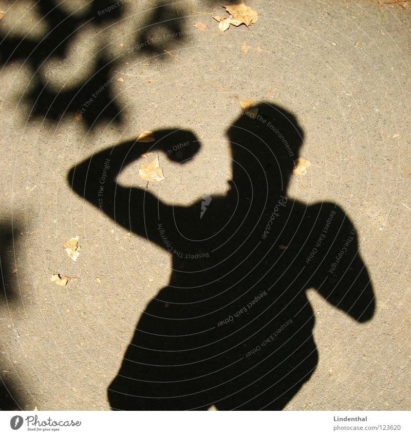 Mucki Man Silhouette Strong Bodybuilder Shadow Arm Man's body Mens upper part of body Man's arm Masculine Muscular Musculature Shadow play Biceps Power