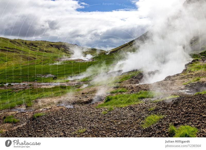 steaming floor Lifestyle Vacation & Travel Trip Adventure Far-off places Freedom Environment Nature Landscape Grass Moody Contentment Shroud of fog Smoke