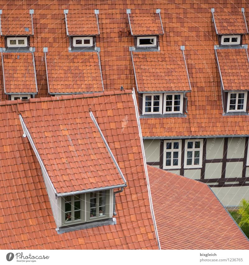 Quedlinburg II Vacation & Travel City trip quedlinburg Federal eagle Europe Town Old town Deserted House (Residential Structure) Architecture Window Roof Red