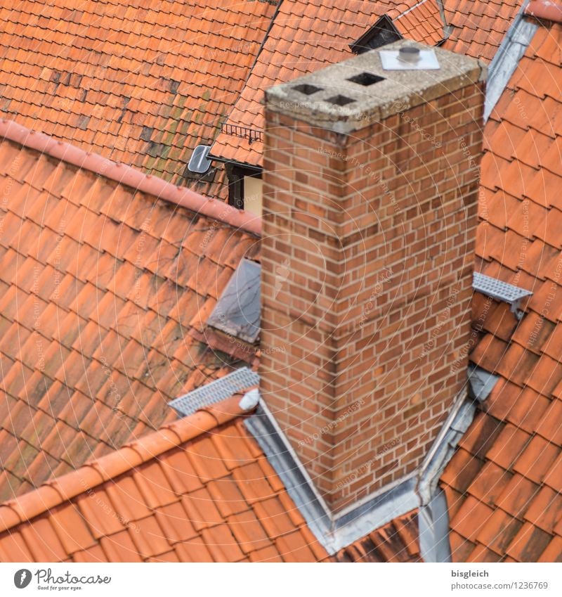 Quedlinburg IV quedlinburg Federal eagle Europe Town Old town Deserted House (Residential Structure) Building Roof Chimney Roofing tile Red Colour photo