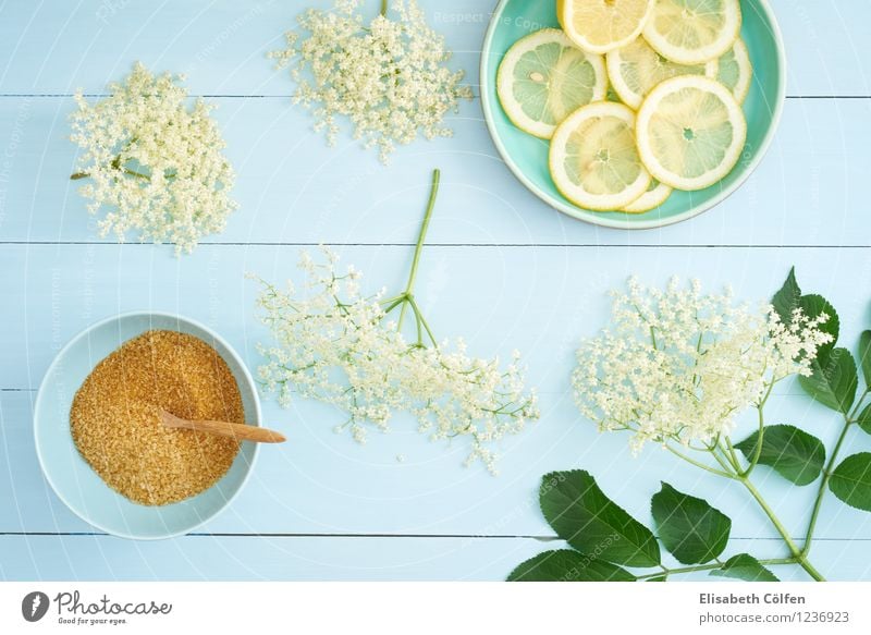 Ingredients for elderflower syrup Food Organic produce Beverage Plate Bowl Plant Fresh Healthy Blue Yellow Green Elderflower Blossom Lemon Slice of lemon Sugar