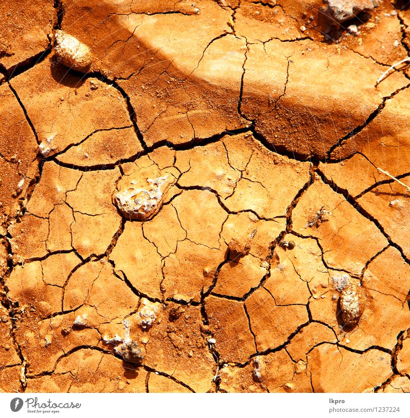 branch wood lanzarote spain abstract Vacation & Travel Tourism Trip Summer Beach Island Waves Nature Sand Rock Coast River Stone Rust Heart Dirty Brown Yellow