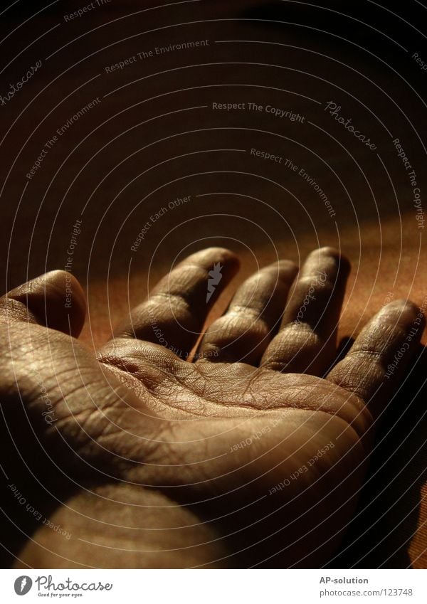 hand Hand Fingers Palm of the hand Dark Creepy Dangerous Threat Body in the water Wrinkles Identity Macro (Extreme close-up) Fortune-telling Obscure Whimsical