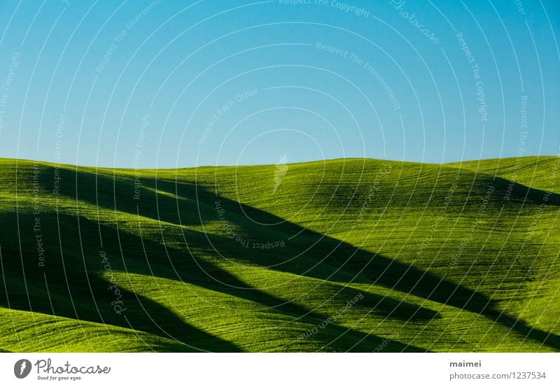 Long shadows in Tuscany Vacation & Travel Sun Landscape Cloudless sky Clouds Horizon Spring Beautiful weather Grass Meadow Hill Line Esthetic Infinity Blue