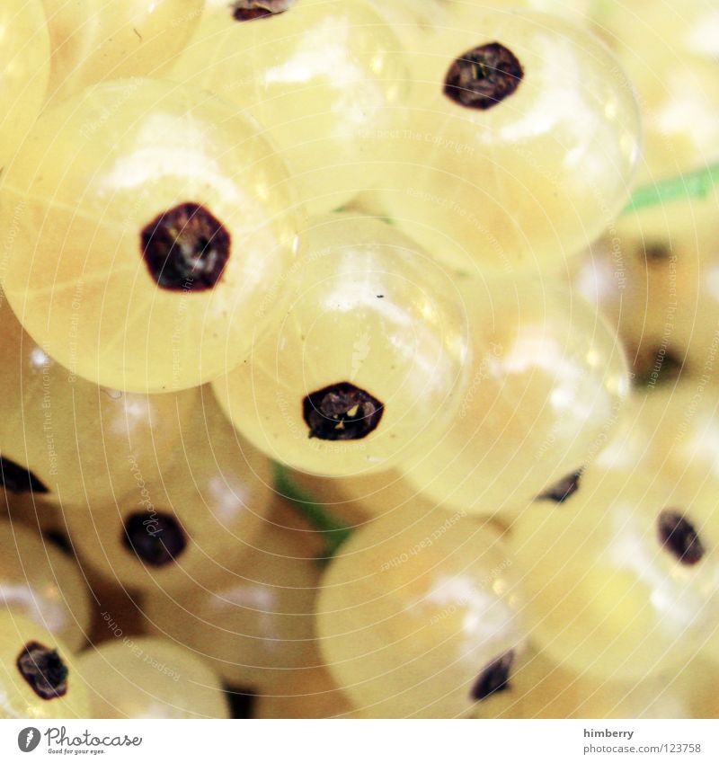 currantcase Fresh Juice Vitamin Nutrition Meal Healthy Multicoloured Fruit Macro (Extreme close-up) Close-up Redcurrant fruits fresh fruits Bowl Food