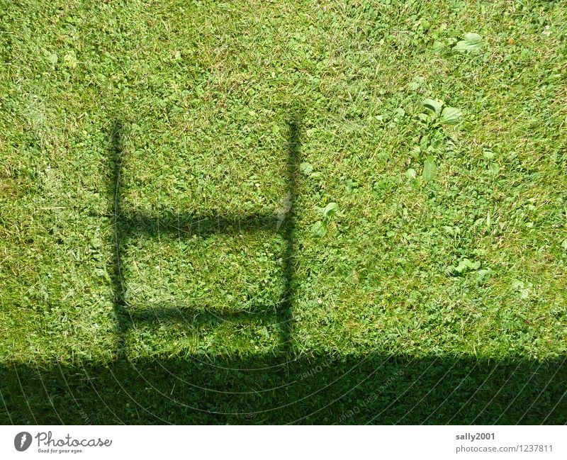 climbing garden... Beautiful weather Grass Garden Meadow Ladder Rung Natural Above Green Climbing Shadow play Dark side Structures and shapes Go up