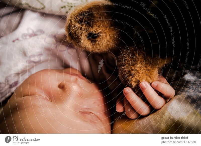 Sleeping baby with cuddly toy Human being Feminine Baby Infancy Head Hand 1 0 - 12 months Brown Multicoloured Yellow Red Turtle Cuddly toy Fatigue Colour photo