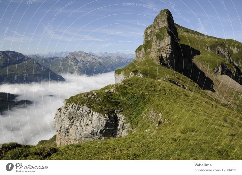 forest mountain Tourism Freedom Summer Summer vacation Mountain Hiking Climbing Mountaineering Nature Landscape Clouds Weather Beautiful weather Fog Alps Peak