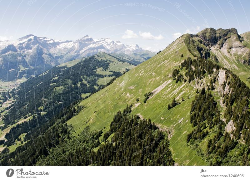 Wispile - Staldenhorn - Reason X Well-being Contentment Relaxation Calm Trip Freedom Summer Mountain Sports Paragliding Sporting Complex Nature Elements Air Sky