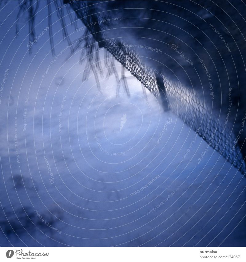 Magic separation Fence Border Puddle Mirror Clouds Bushes Slate blue Foreground Background picture Abstract Decent Companion Fine Beautiful Invisible Wayside