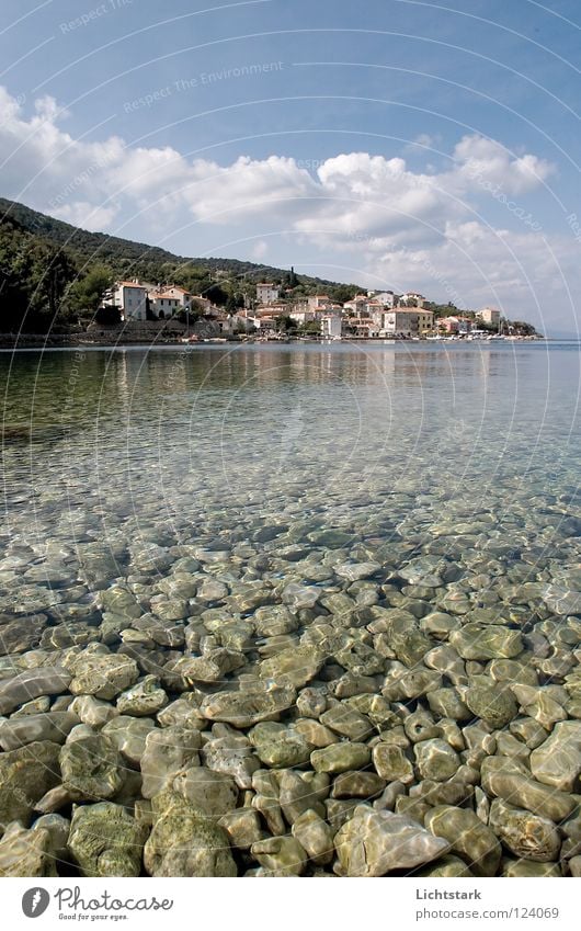 towards the sun Croatia Vacation & Travel Ocean Calm Dive Reading Dream Waves Green Fast-flowing stream Amber coloured Green space Gush of water