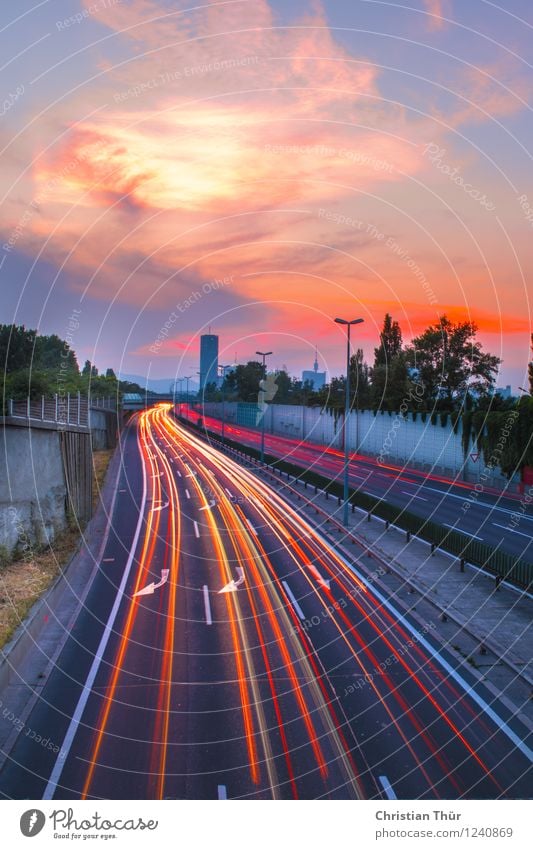 motorway lights Summer Sky Clouds Sun Sunrise Sunset Sunlight Spring Beautiful weather Plant Tree Bushes Town Capital city Outskirts Deserted