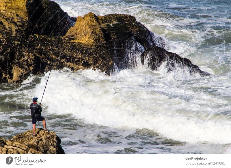 The steadfast angler Fishing (Angle) Adventure Far-off places Freedom Human being Masculine Young man Youth (Young adults) Environment Nature Landscape Plant