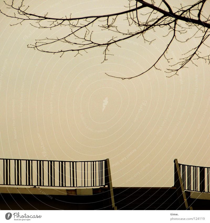 View into Somewhere Tree Concrete Aspire Fastening Leafless Hover Deserted Calm Far-off places Insecure Sky Winter Bridge Dusk branches Metal Stairs Handrail