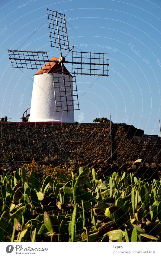 cactus windmills in isle of Mountain Renewable energy Wind energy plant Nature Plant Sky Clouds Gale Cactus Hill Rock Architecture Facade Terrace Door Dirty