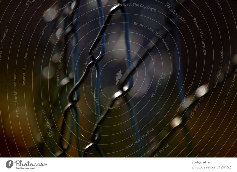 wire netting Fence Wire netting Back-light Border Bans Barrier Curved Real estate Dark Blur Colour Macro (Extreme close-up) Close-up Derelict Line