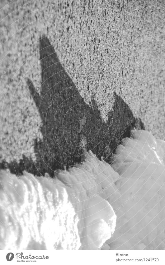 Want some ice cream? Winter Ice Frost Snow Street Cold Point Black White Bizarre Melt Asphalt Shadow Prongs Black & white photo Exterior shot Deserted