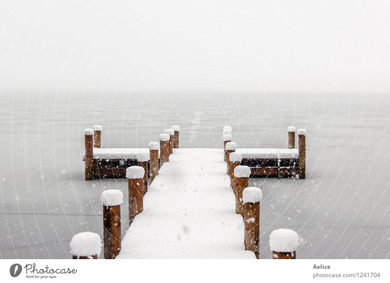 Empty pier on a cold foggy winter morning Nature Landscape Winter Climate Weather Beautiful weather Storm Snow Glacier Lakeside Lago di Piano Italy Europe