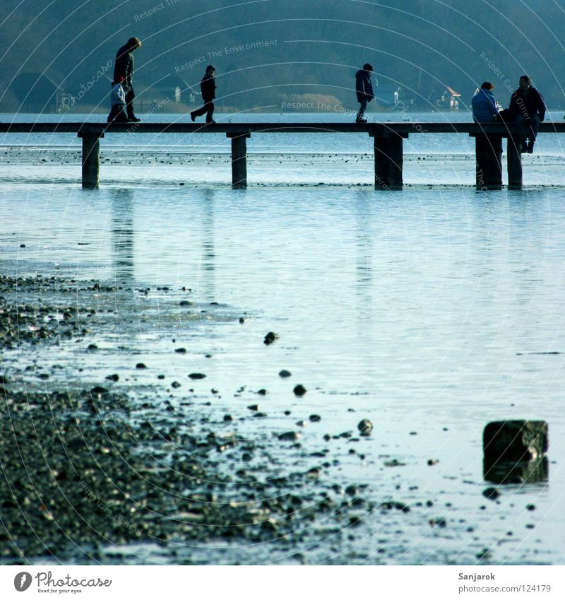 Bridge bridge at the lake Meersee Pond Electricity February Lake Spontaneous Family & Relations Friendship Jetty Footbridge Leisure and hobbies Summer Winter