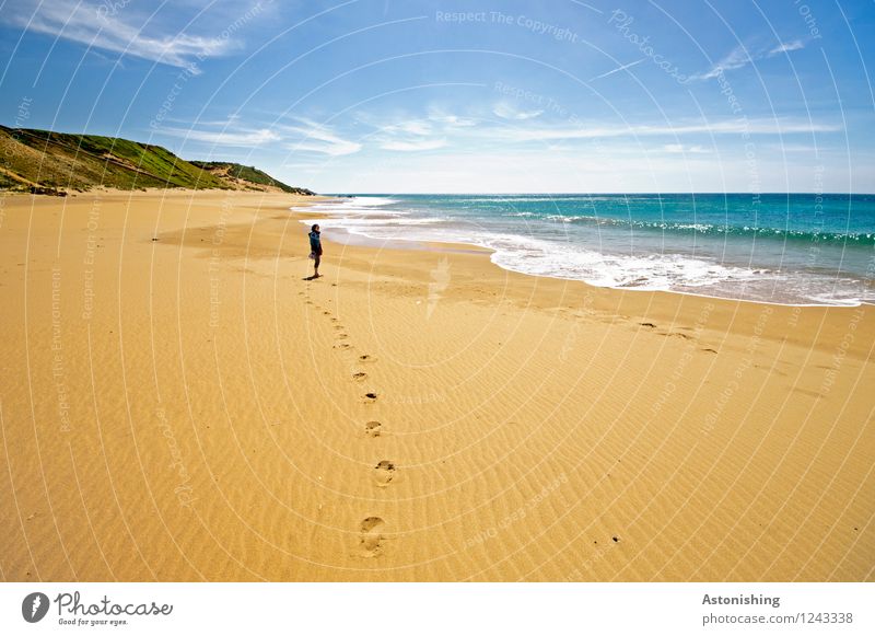 lonely trail Human being Feminine Young woman Youth (Young adults) Body 1 18 - 30 years Adults Environment Nature Landscape Sky Clouds Horizon Summer Weather