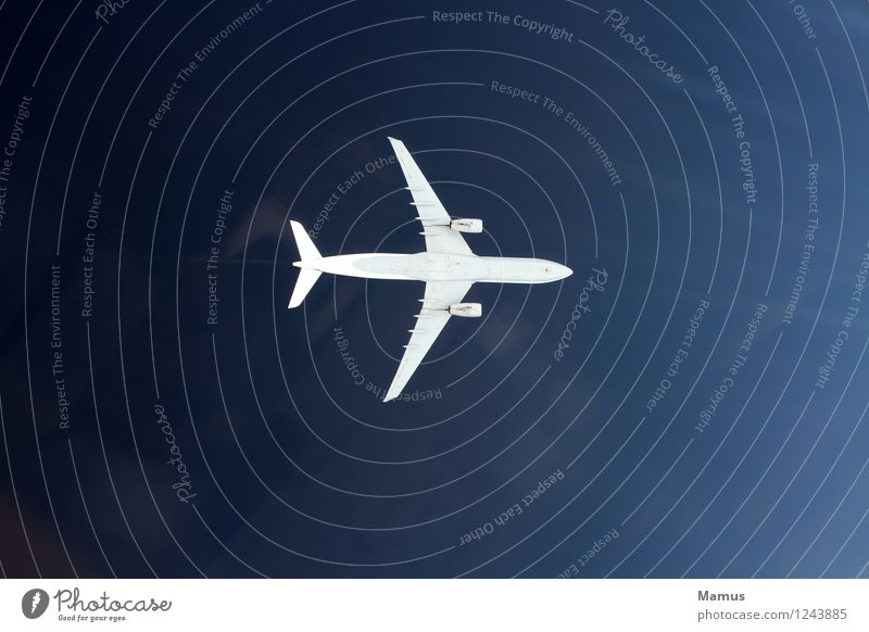 Show me your belly! Pilot Aviation Sky Sunlight Transport Means of transport Passenger traffic Airplane Passenger plane View from the airplane Movement Flying