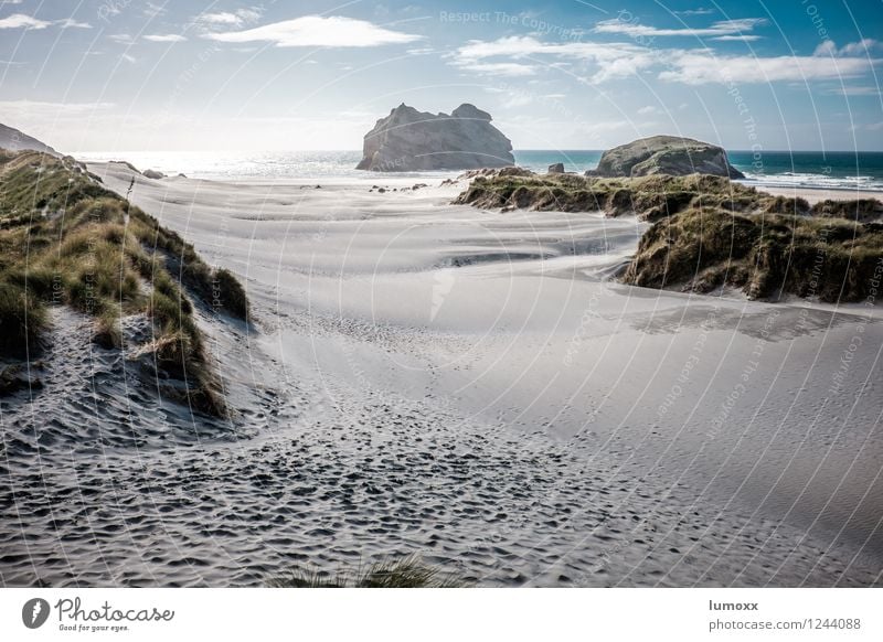 South Pacific Landscape Sand Sky Clouds Summer Beautiful weather Coast Beach Ocean Tasman sea Island New Zealand Sandy beach Beach dune Fantastic Gigantic Blue