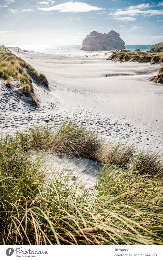 Endless buzzer Sand Clouds Summer Beautiful weather Grass Coast Beach Ocean Pacific Ocean Island New Zealand South Island Illuminate Kitsch Blue Brown Green