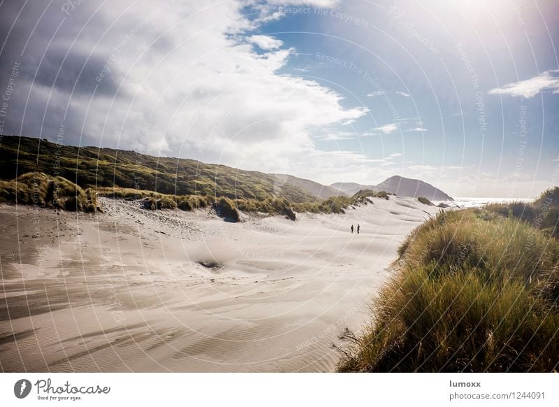 Dunewalker Nature Landscape Sand Sky Clouds Storm clouds Summer Grass Coast Beach Ocean Pacific Ocean Island New Zealand South Island Stand Blue Gold Green