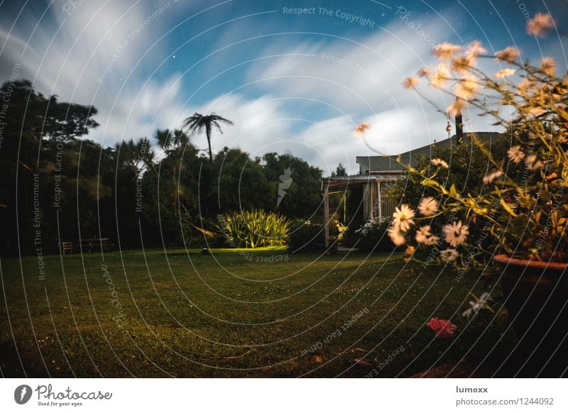 Stormy Night Clouds Summer Tree Flower Garden Meadow House (Residential Structure) Blue Green Wind Stars Motion blur Exterior shot Long exposure