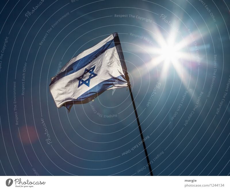 Shalom: the Israel - National - Flag in front of a bright sun Vacation & Travel Tourism Far-off places Freedom Summer Sun Culture Near and Middle East Landmark