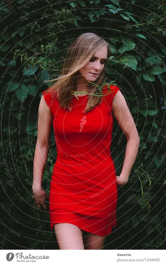 femme fatale Lifestyle Elegant Style Joy Harmonious Relaxation Leisure and hobbies Summer Flirt Dress red dress Exceptional Positive Rebellious Warmth Feminine