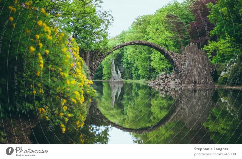 stone bridge Bridge Manmade structures Architecture Build Lake Park Green Stone bridge free time relax tranquillity Soul Nature Landscape Colour photo