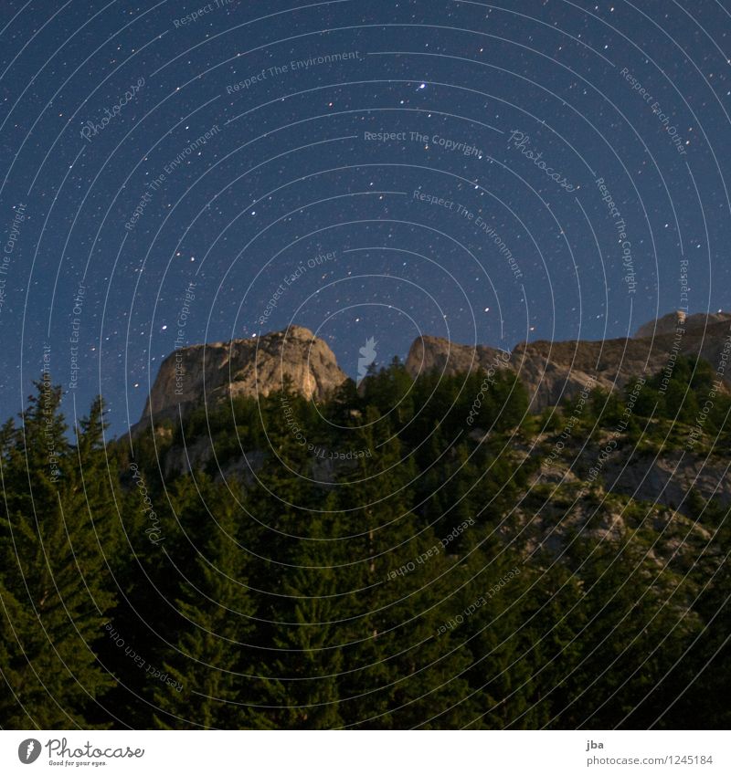 Night sky over Gsteig Calm Environment Nature Elements Sky Stars Summer Beautiful weather Tree Fir tree Forest Rock Alps Peak Saanenland Time Wall of rock Slope