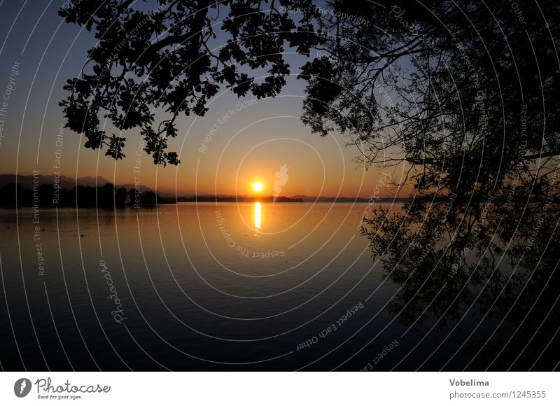 Evening at Lake Chiemsee Tourism Sun Nature Water Sunrise Sunset Sunlight Beautiful weather Tree Leaf Lakeside Natural Blue Brown Yellow Gold Black Romance Twig